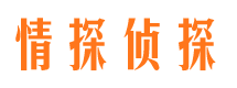 元坝市调查公司